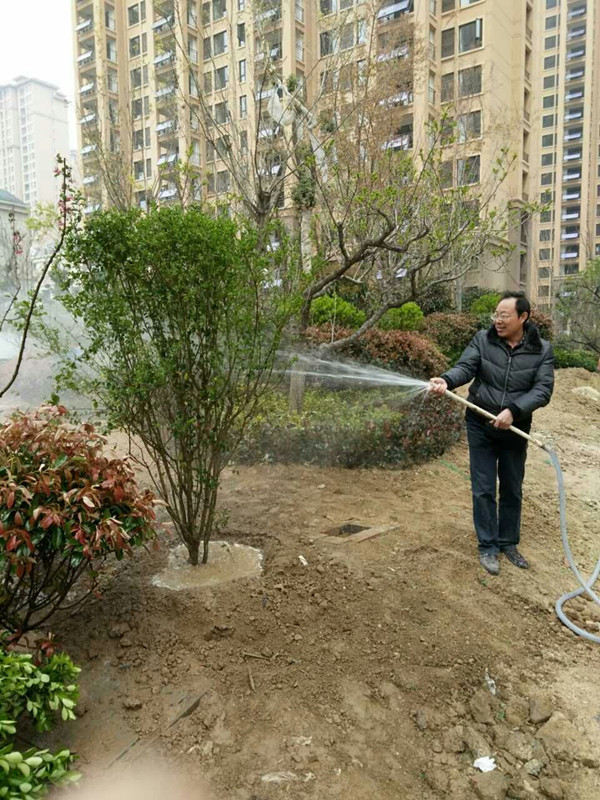 李维强老师给学生示范浇水